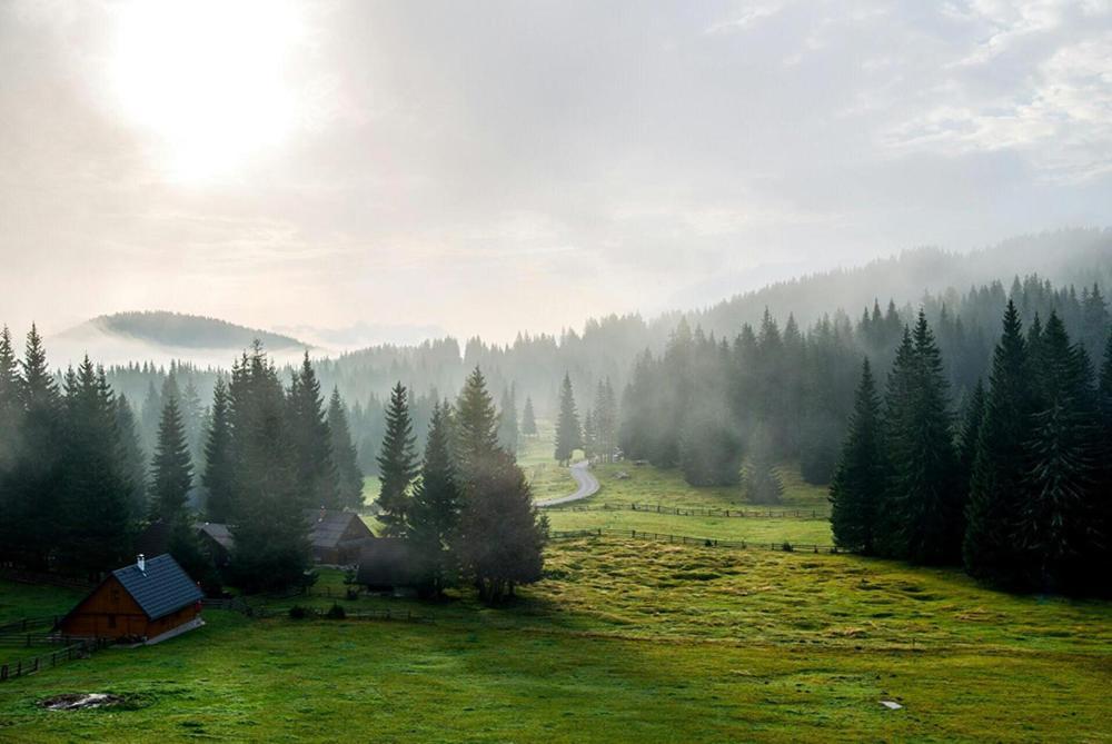 Villa Pokljuka Zgornje Gorje Exterior photo