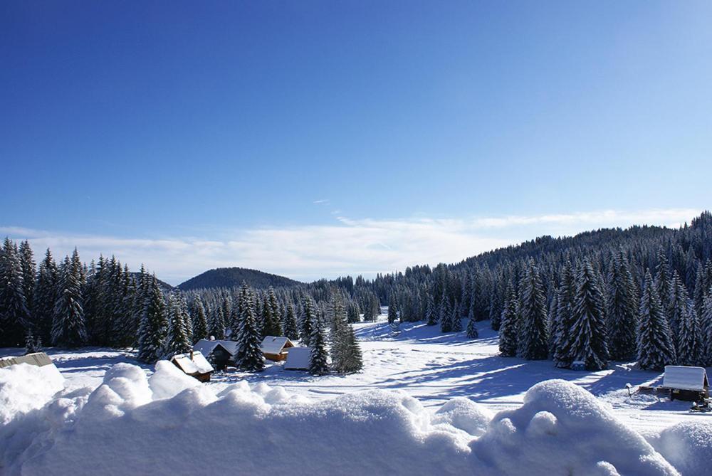 Villa Pokljuka Zgornje Gorje Exterior photo